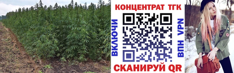 купить наркотик  Верхоянск  Дистиллят ТГК вейп 