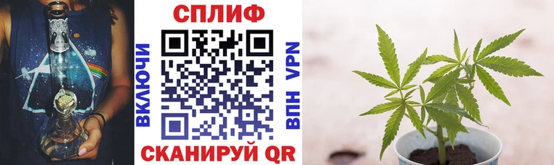 Каннабис индика  МЕГА зеркало  Верхоянск  купить закладку 